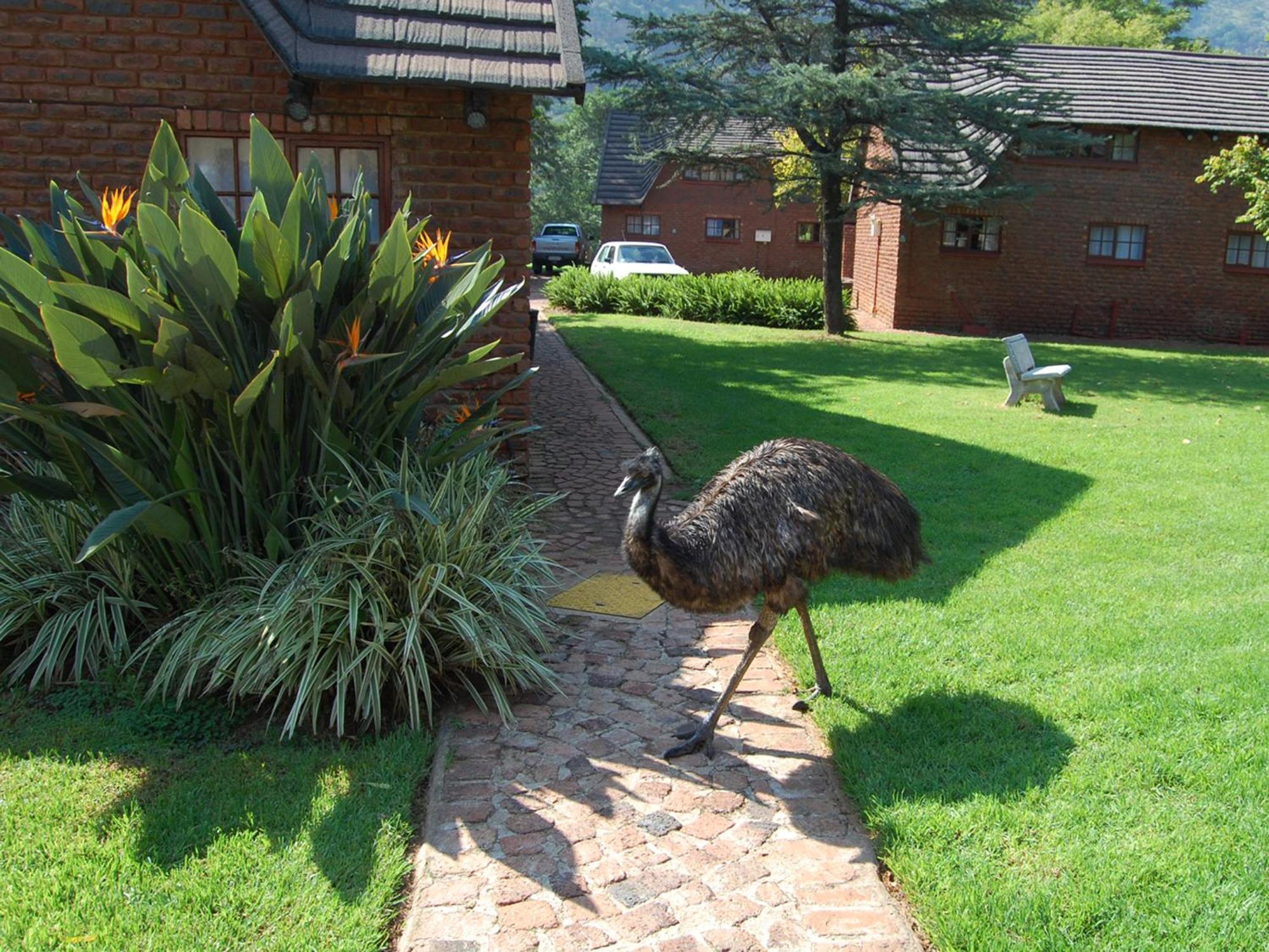 Mount Amanzi Hotel Hartbeespoort Exterior photo